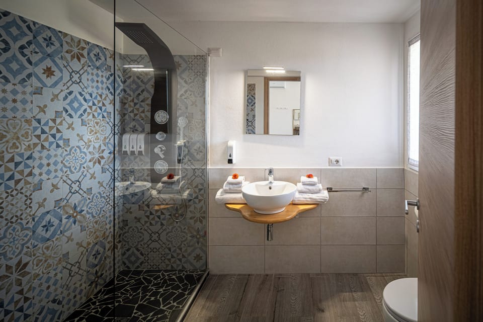 Shower, free toiletries, hair dryer, bidet