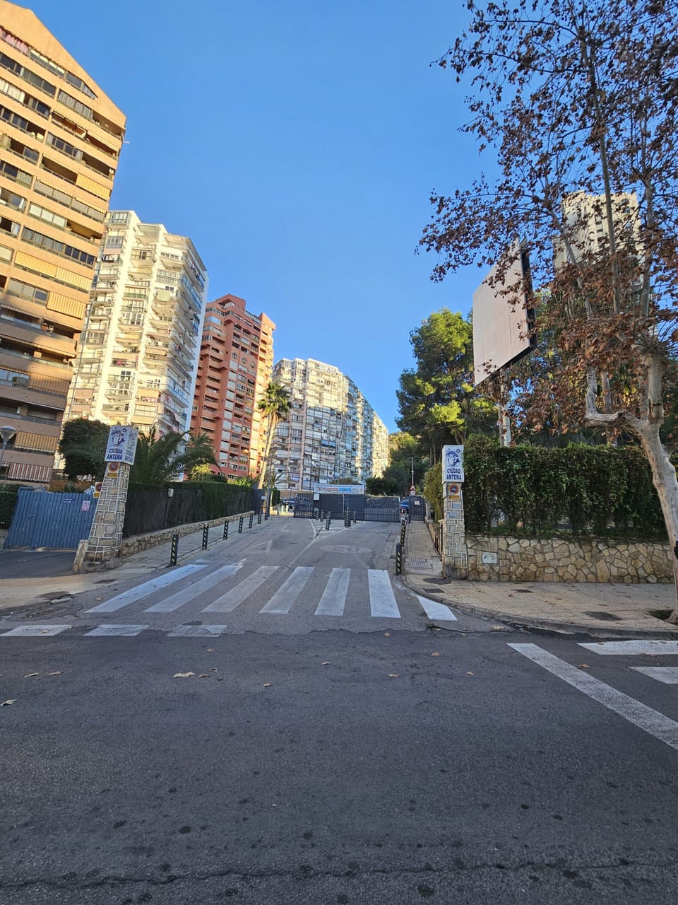 Apartment | View from property