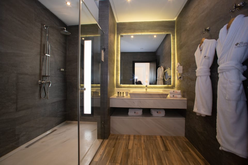 Royal Suite | Bathroom shower