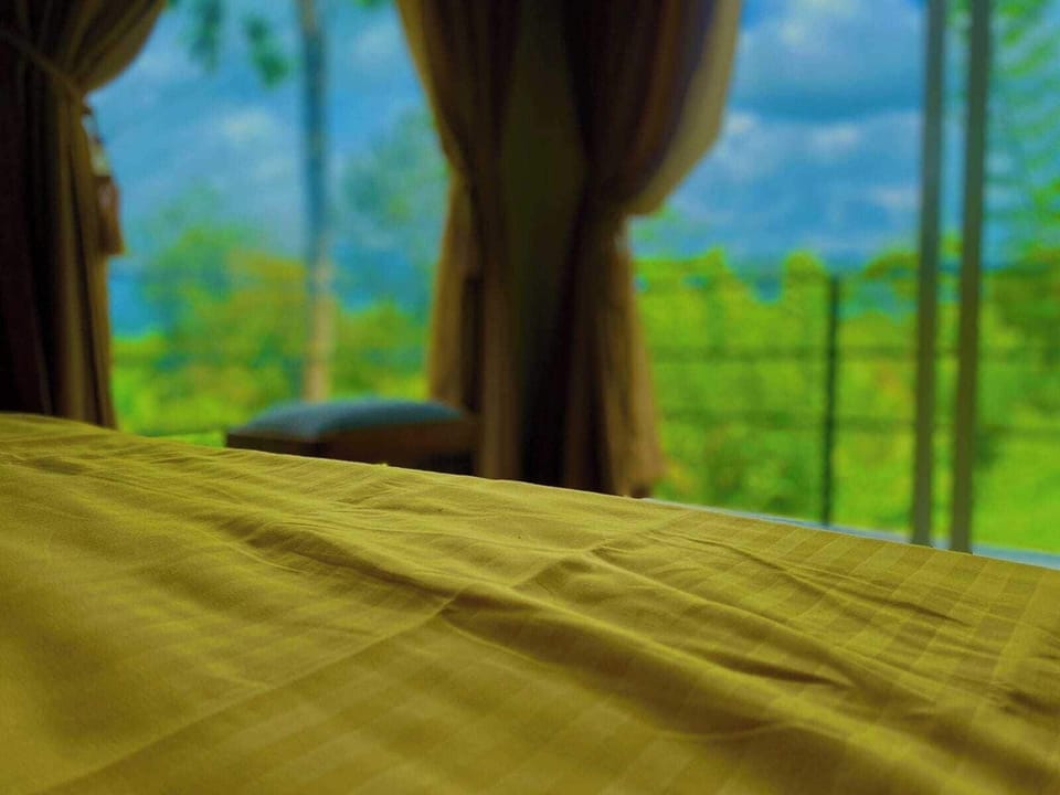Deluxe Double Room, Balcony, Mountain View | Free WiFi