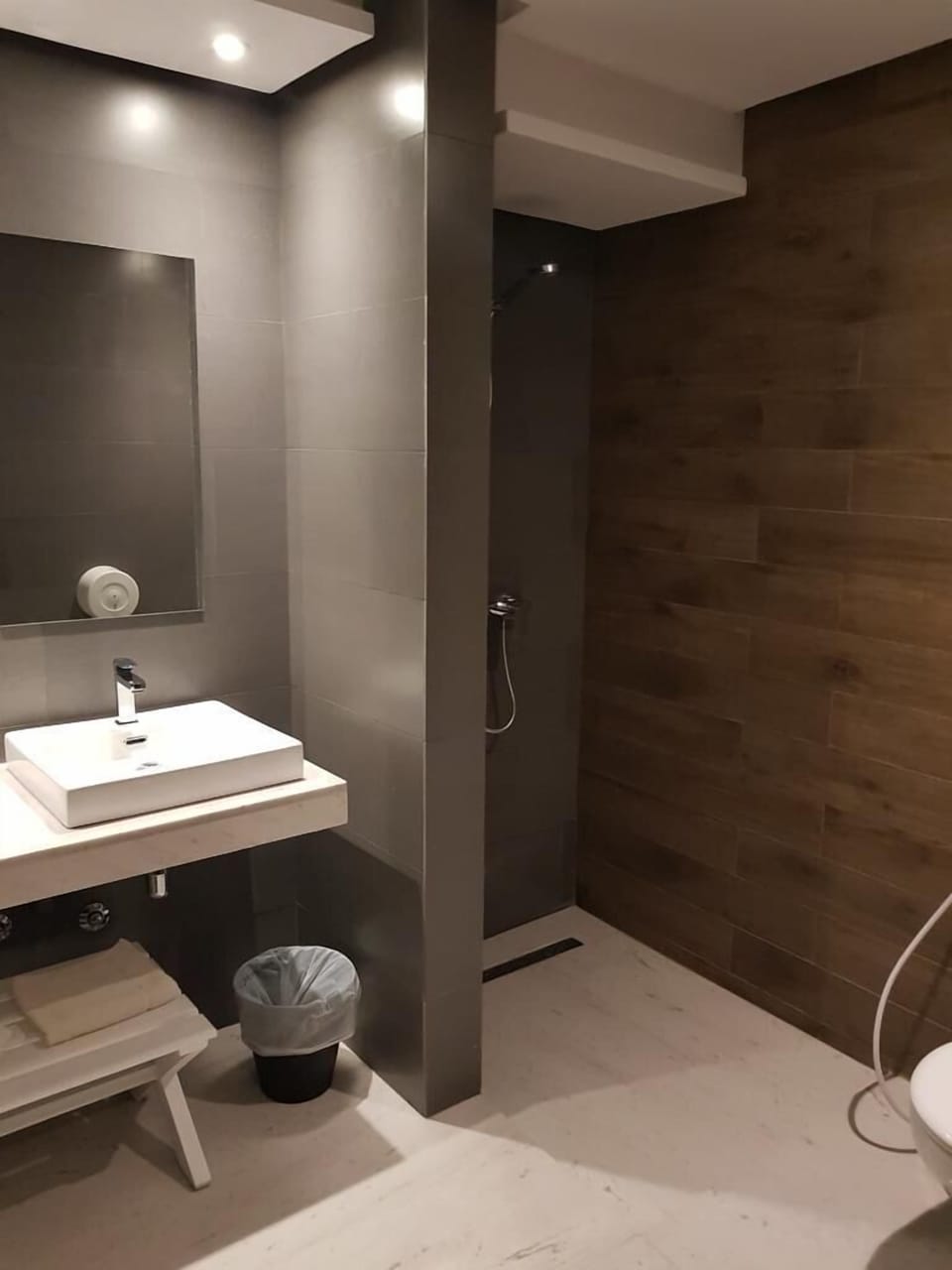 Free toiletries, hair dryer, towels