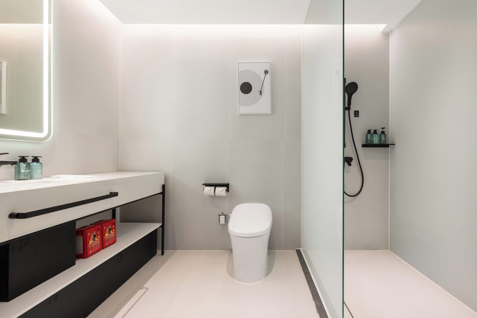Shower, hydromassage showerhead, hair dryer, slippers
