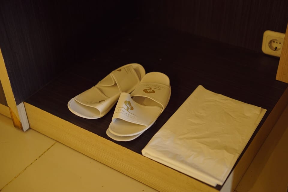 Shower, bidet, towels, soap