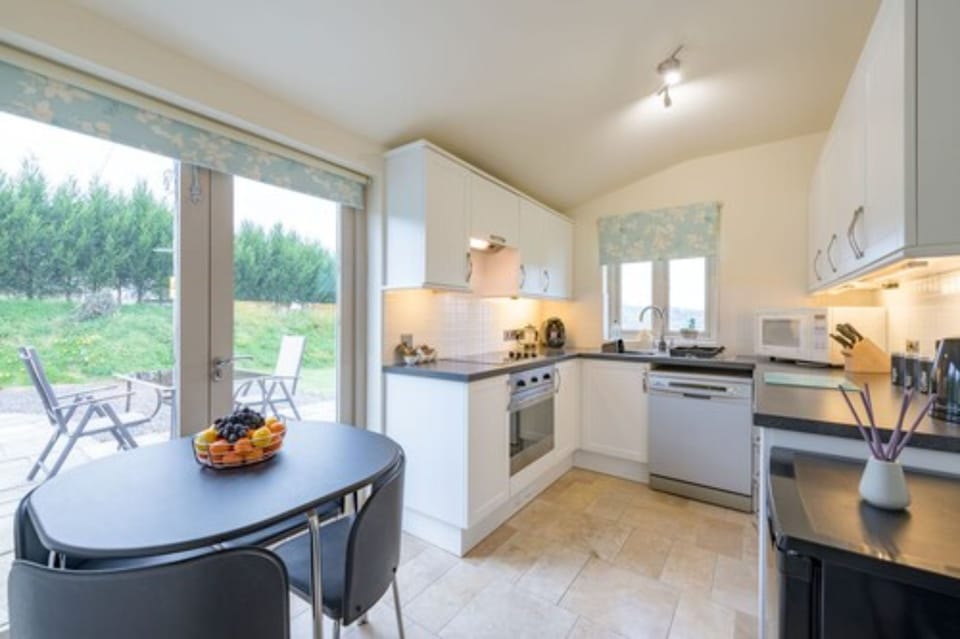 Deluxe Apartment, 1 King Bed, Mountain View | Private kitchen | Fridge, coffee/tea maker, electric kettle