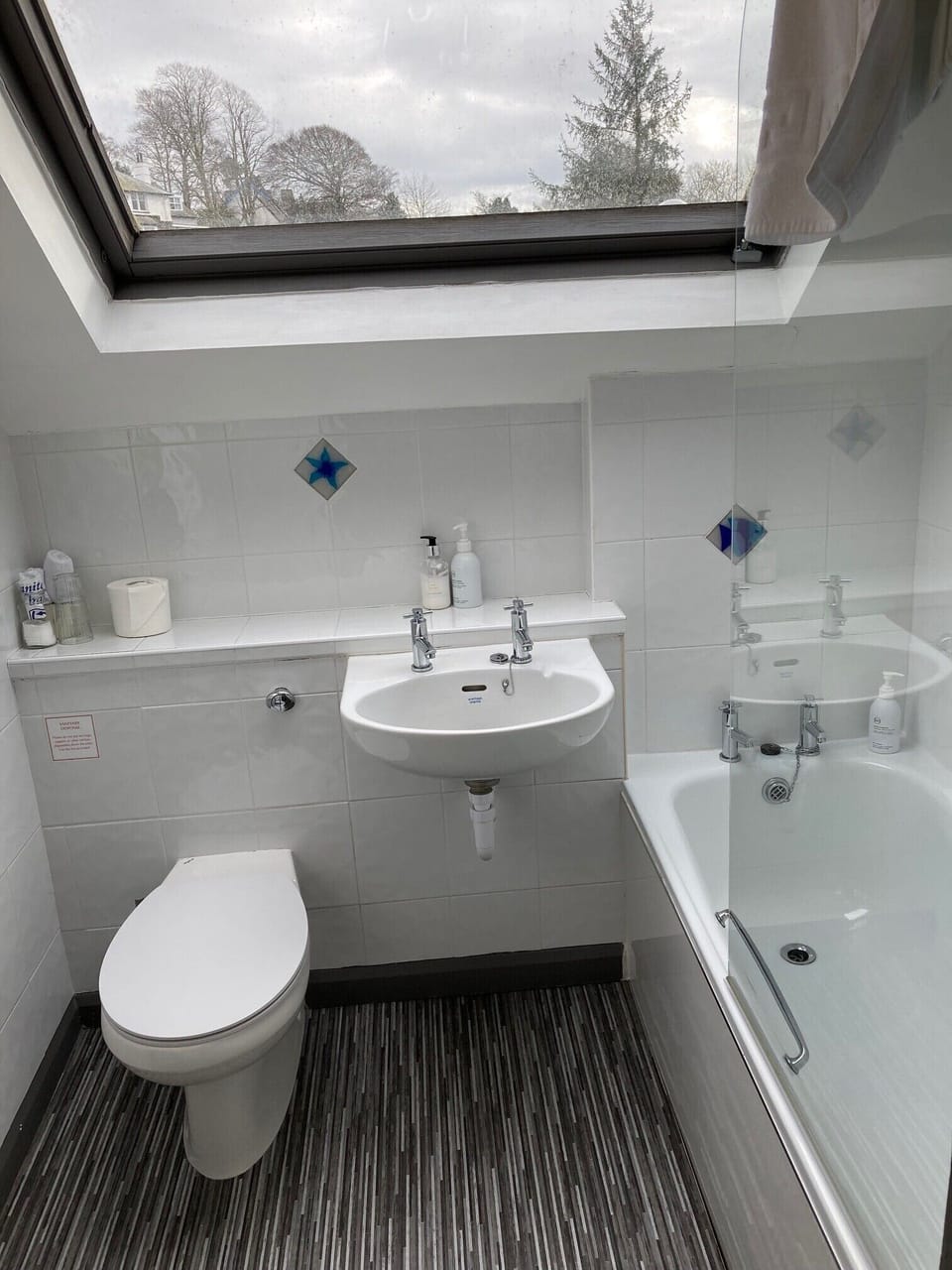 Suite (9) | Bathroom | Free toiletries, hair dryer, towels