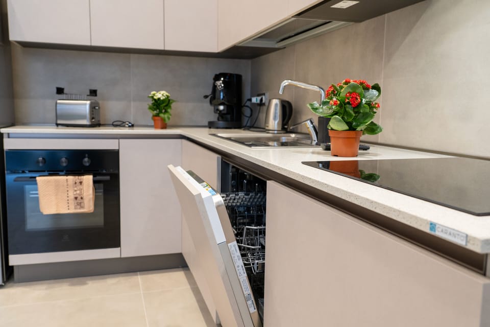 Deluxe Apartment, Balcony, City View | Private kitchen