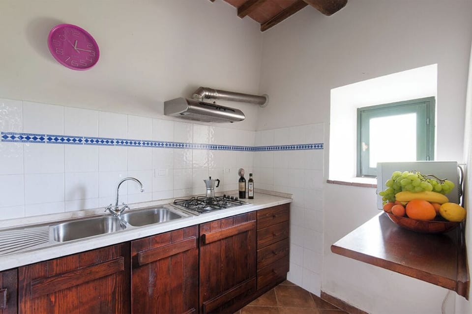 Family Apartment, 3 Bedrooms, Pets Allowed, Lake View | Private kitchen | Fridge, microwave, stovetop, highchair