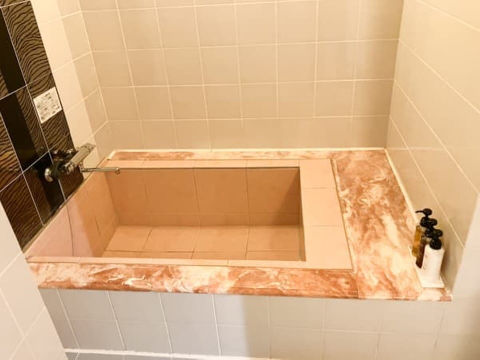 Combined shower/tub, hair dryer, towels, shampoo