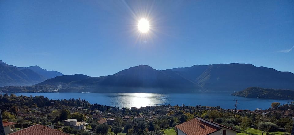 Lake view