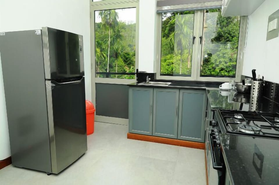Double Room, Balcony, River View | Private kitchen | Full-size fridge, oven, dishwasher, cookware/dishes/utensils