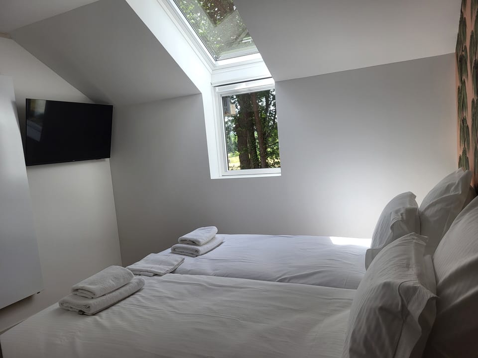 Twin Room | Desk, free WiFi