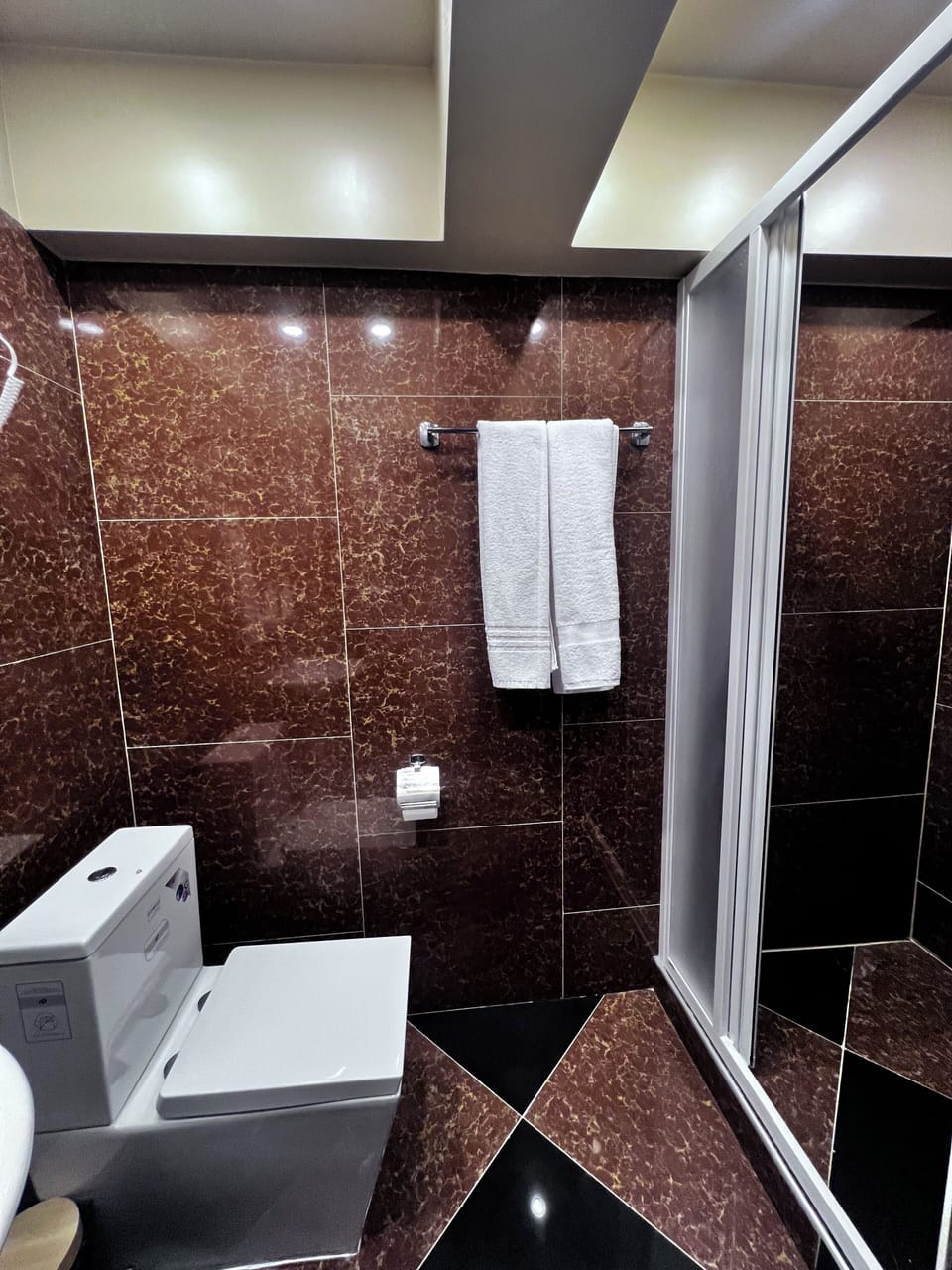 Shower, hair dryer, towels, shampoo