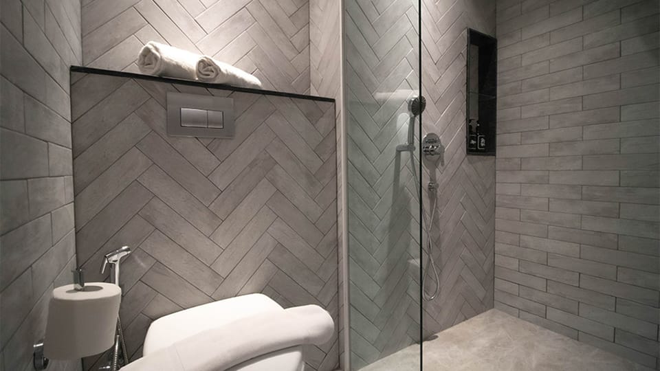 Shower, hair dryer, slippers, bidet