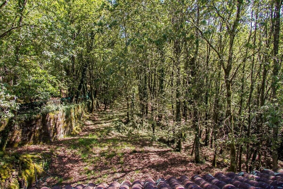 House | 3 bedrooms, Internet