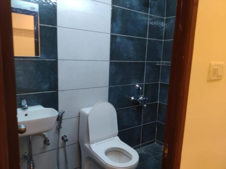 Deluxe Double Room | Bathroom | Shower, free toiletries, towels, soap