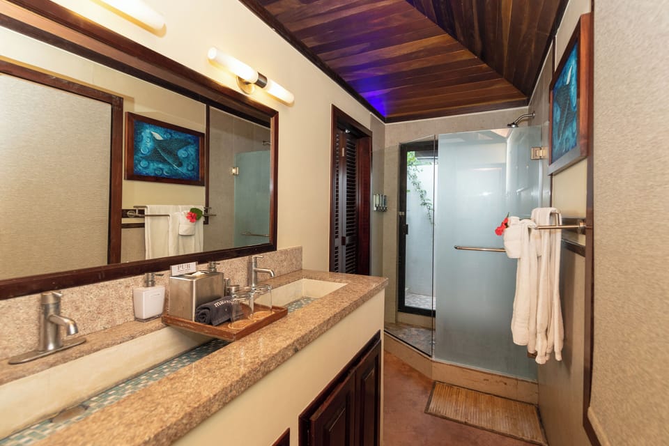 Shower, free toiletries, hair dryer, bathrobes