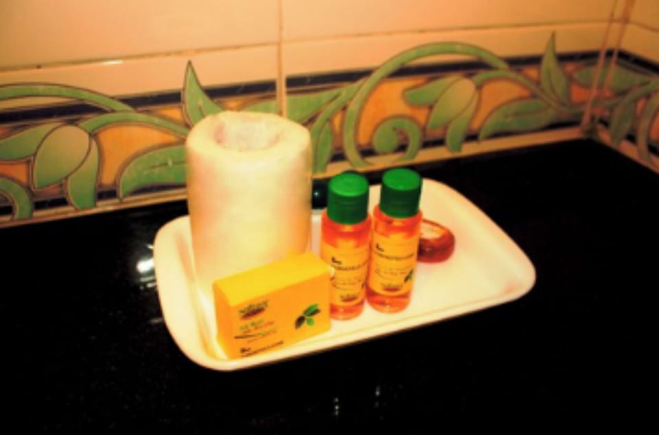 Shower, rainfall showerhead, free toiletries, towels