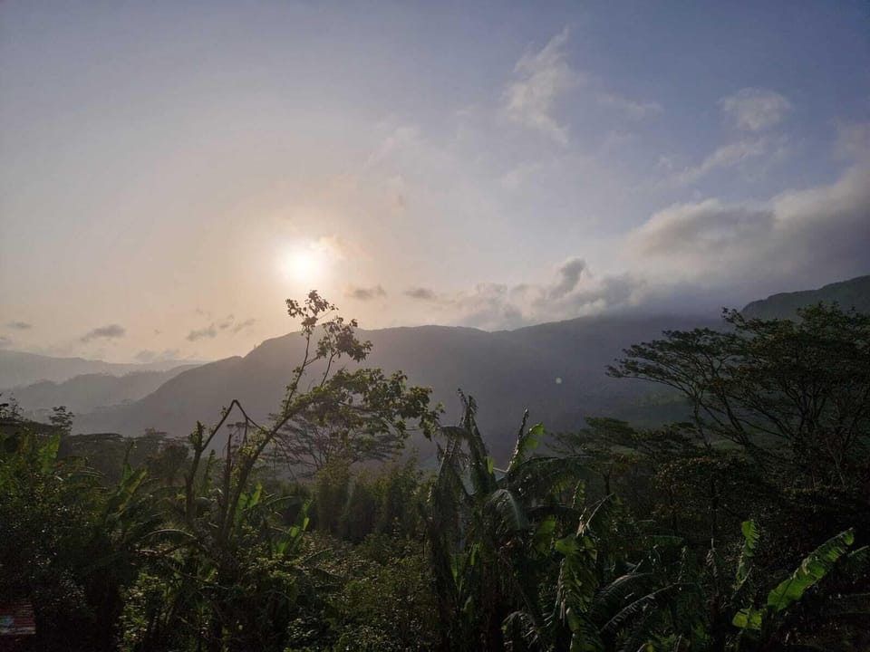 Mountain view