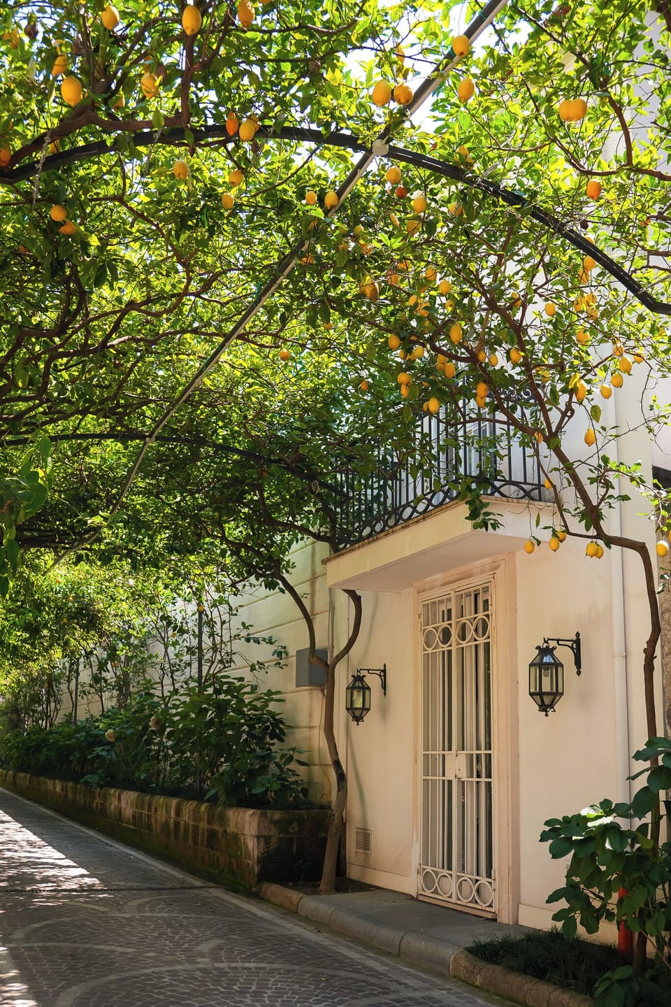 Comfort Double Room, Garden View | View from room