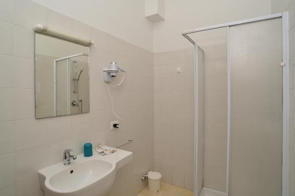Shower, free toiletries, hair dryer, bidet