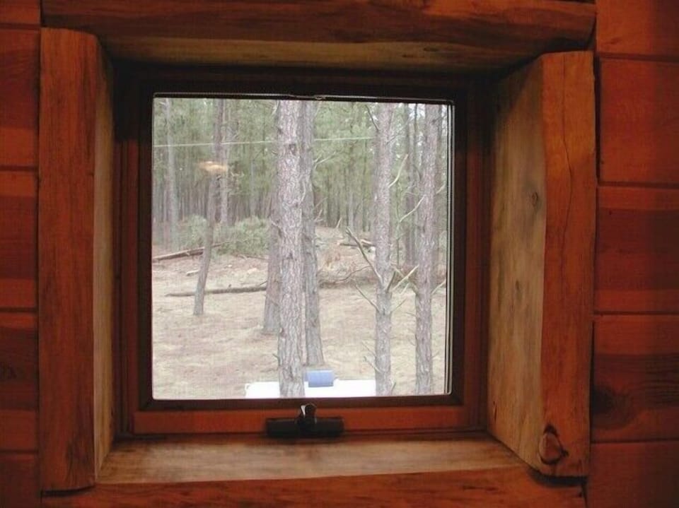 Deluxe Cabin, 3 Bedrooms (White Lightning) | View from room