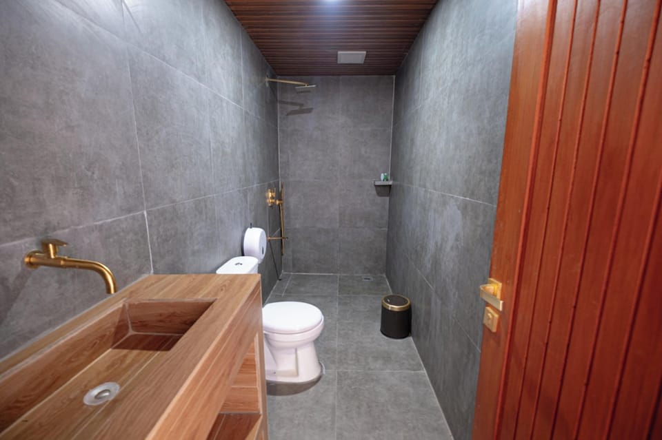 Deluxe Room | Bathroom | Shower, rainfall showerhead, free toiletries, towels