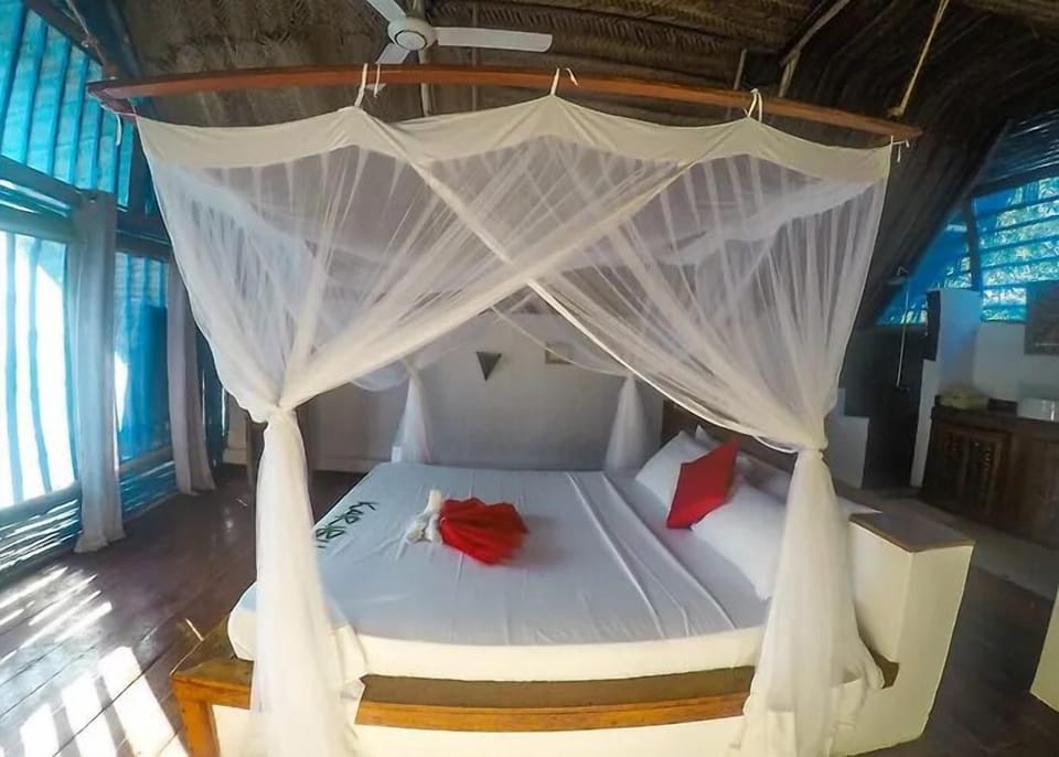 Basic Single Room, Beach View | Free WiFi