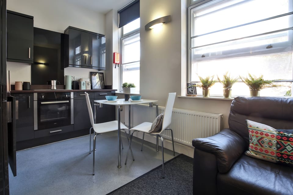 Apartment, 1 Bedroom, Non Smoking, City View | Private kitchen