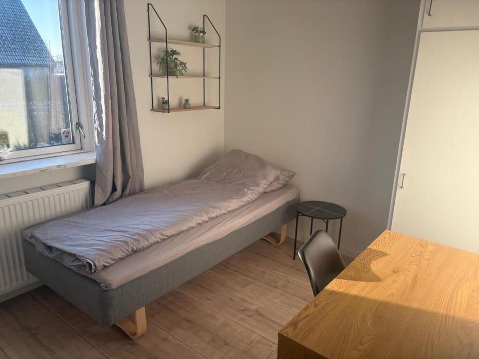 Basic Single Room | Free WiFi