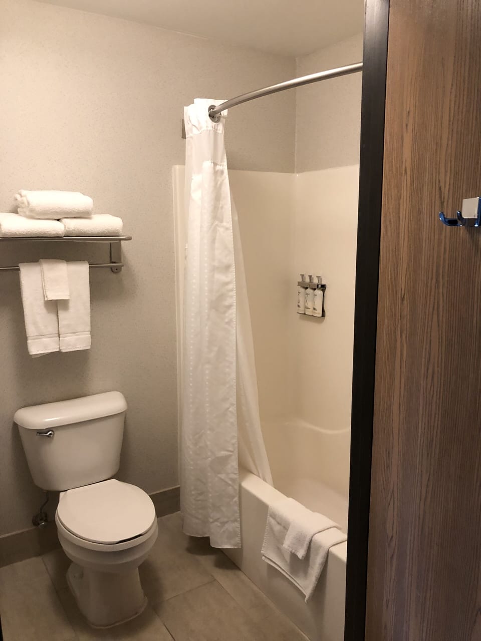 Combined shower/tub, free toiletries, hair dryer, towels