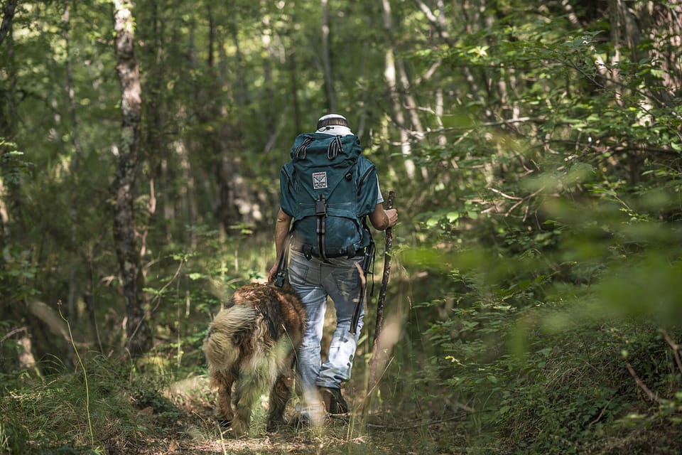 Hiking