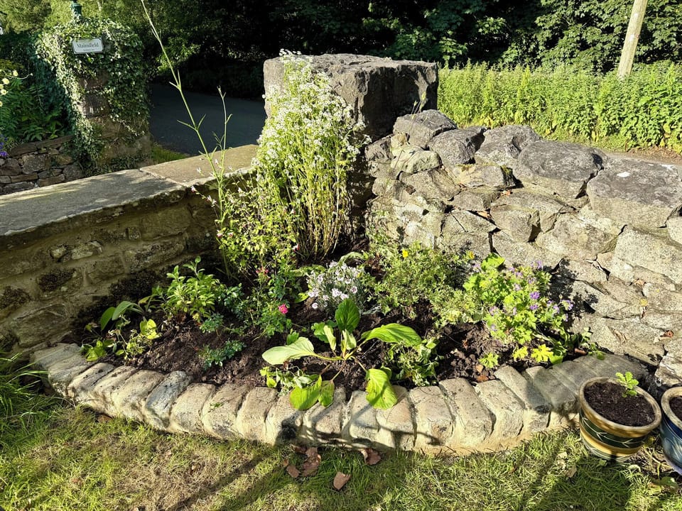 Cottage | Property grounds