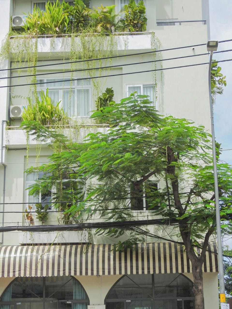 Front of property