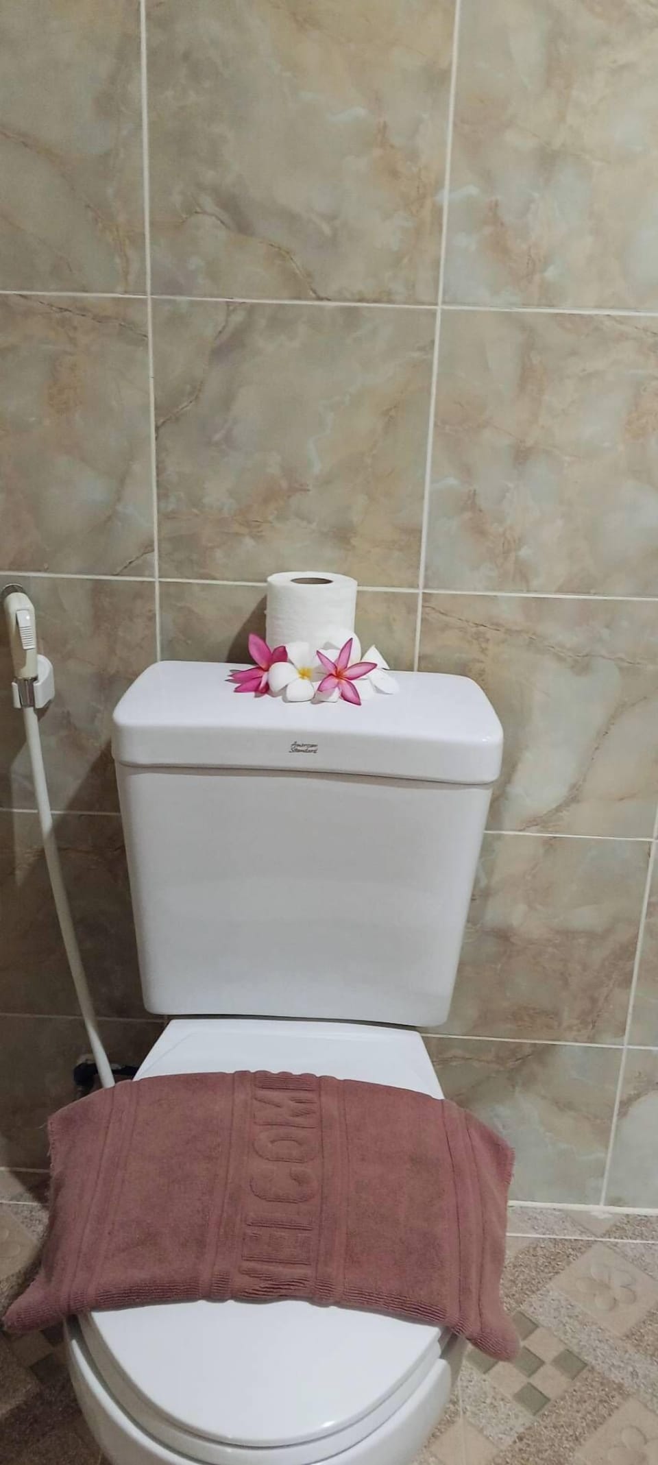 Shower, towels, soap, shampoo