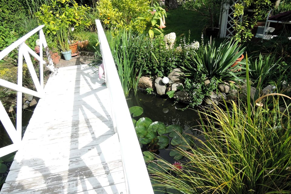 House | Garden