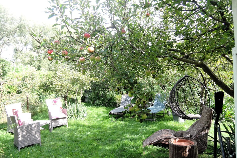 House | Garden