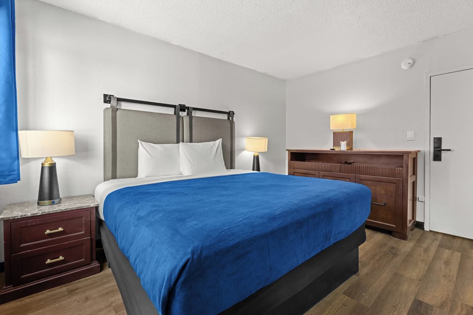 Room, 1 King Bed | Free WiFi