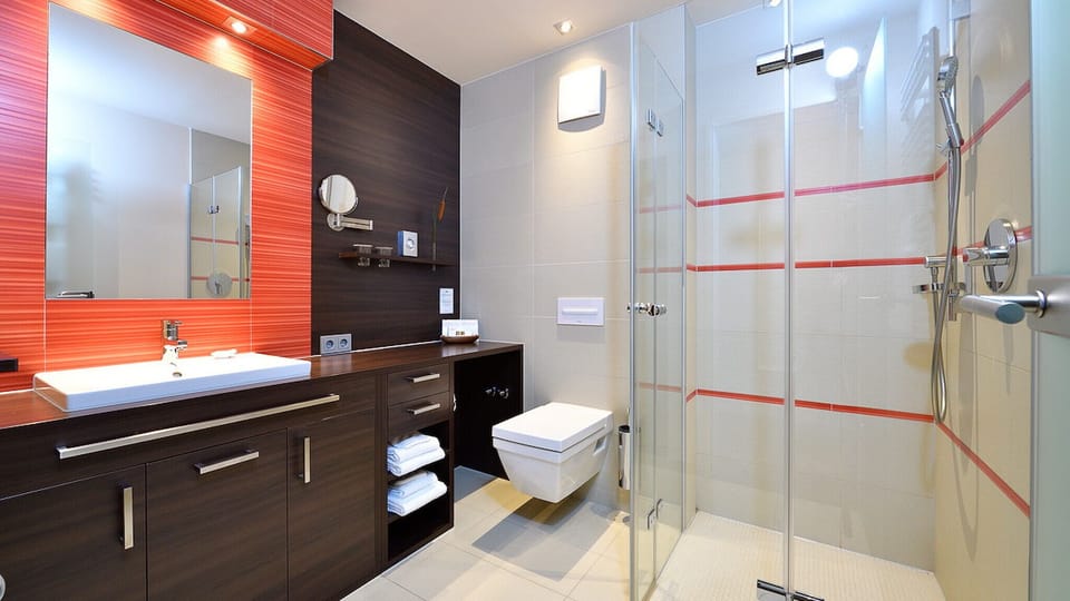 Shower, soap, toilet paper