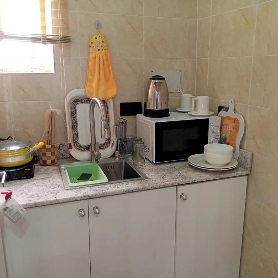 Luxury Apartment, Balcony, City View | Private kitchen | Fridge, microwave, oven, stovetop