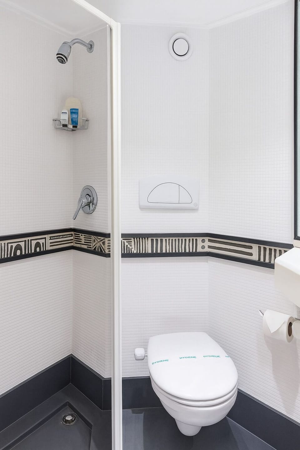 Combined shower/tub, hair dryer, towels, soap