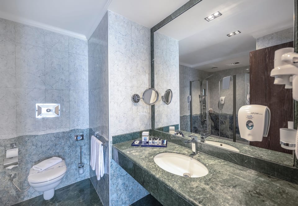 Senior Suite | Bathroom | Free toiletries, hair dryer, towels