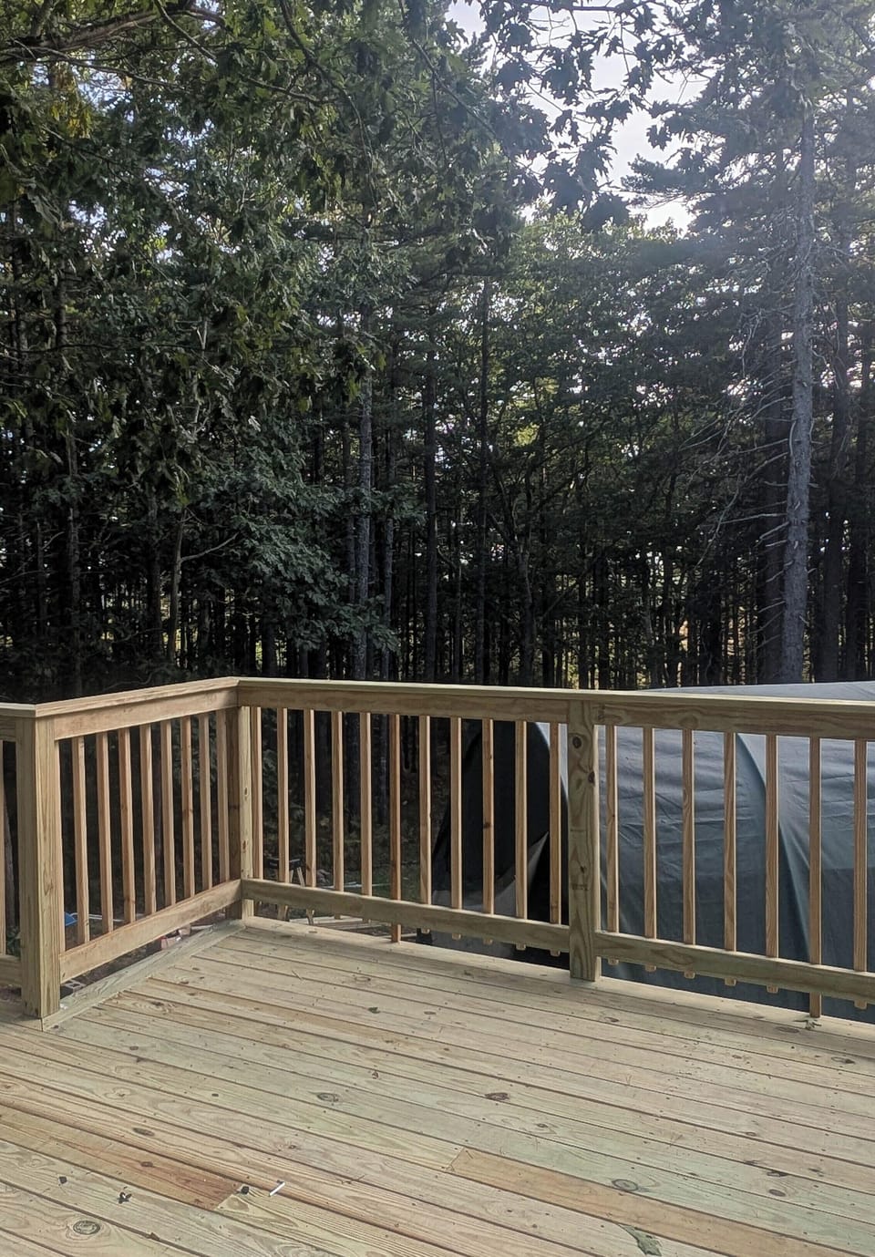 Family House | Terrace/patio