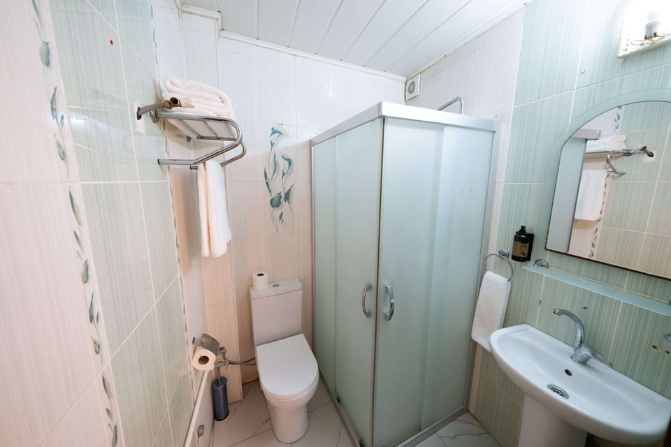 Shower, free toiletries, hair dryer, slippers