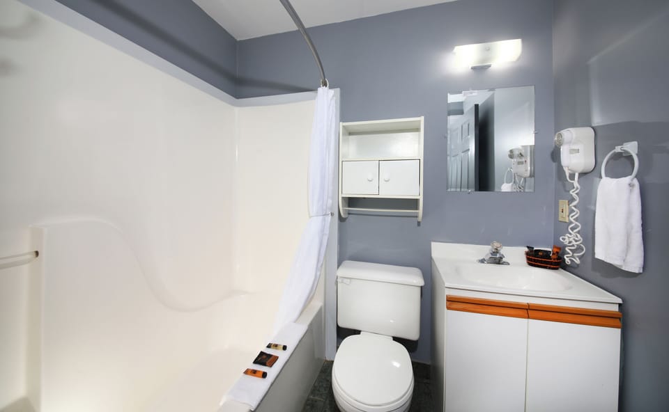 Standard Room, 1 Queen Bed | Desk, soundproofing, iron/ironing board, free WiFi