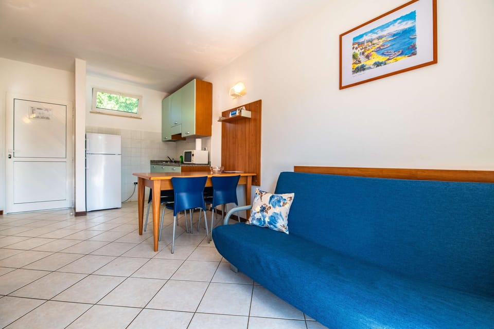 Classic Apartment, 1 Bedroom, Balcony | Living area | TV