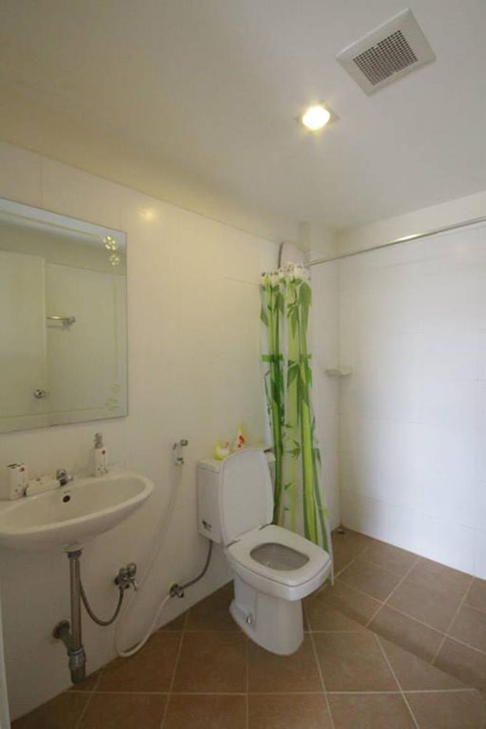 Shower, towels