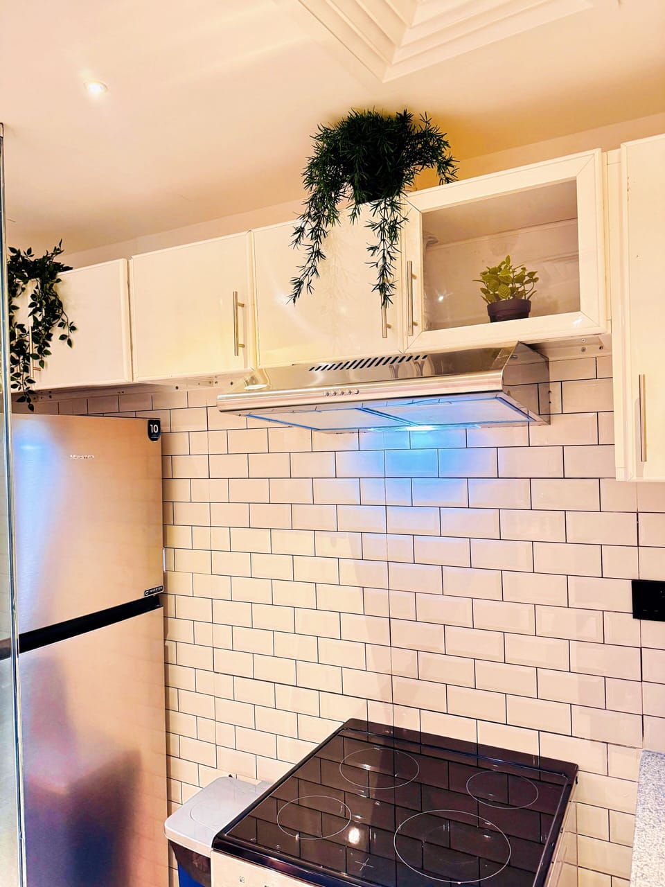 Standard Single Room | Shared kitchen facilities | Full-size fridge, microwave, oven, stovetop