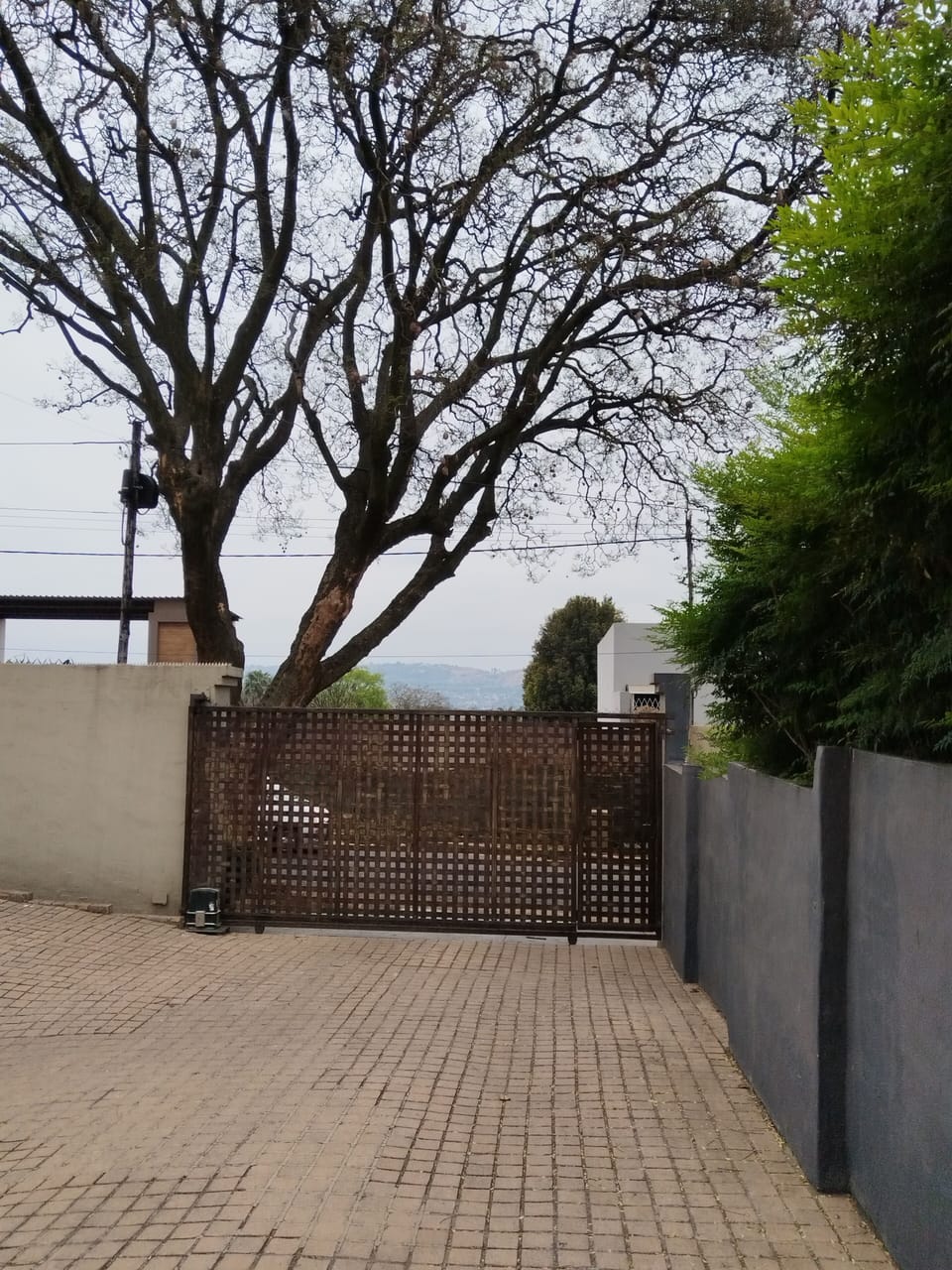Studio, 1 Bedroom, Smoking, Patio | Property grounds
