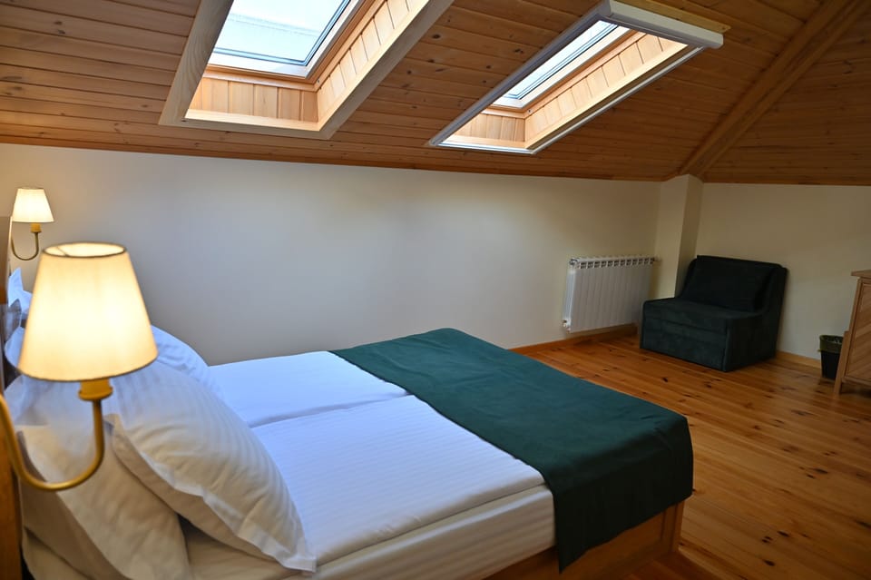 Family Double Room | Down comforters, free WiFi, bed sheets