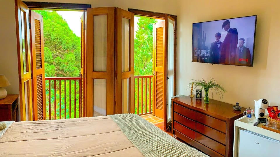 Deluxe Room | Soundproofing, free WiFi
